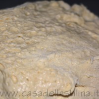 Impasto pizza e schiacciate